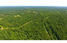 Property photo 18 - LAND AUCTION - 1,682+/- ACRES OFFERED IN 17 TRACTS IN LEWIS & GREENUP COUNTIES, KENTUCKY
